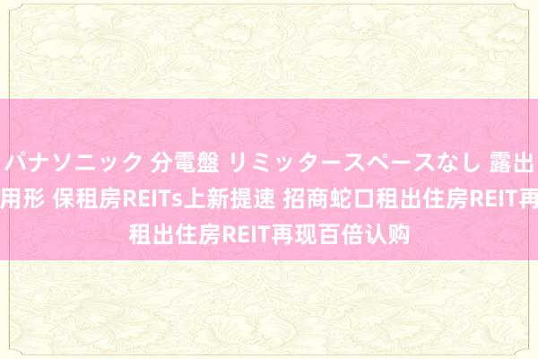 パナソニック 分電盤 リミッタースペースなし 露出・半埋込両用形 保租房REITs上新提速 招商蛇口租出住房REIT再现百倍认购