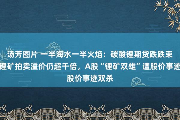 汤芳图片 一半海水一半火焰：碳酸锂期货跌跌束缚但锂矿拍卖溢价仍超千倍，A股“锂矿双雄”遭股价事迹双杀