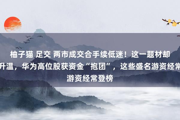 柚子猫 足交 两市成交合手续低迷！这一题材却逆市升温，华为高位股获资金“抱团”，这些盛名游资经常登榜