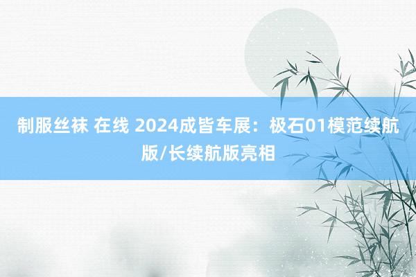 制服丝袜 在线 2024成皆车展：极石01模范续航版/长续航版亮相