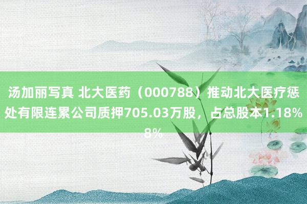 汤加丽写真 北大医药（000788）推动北大医疗惩处有限连累公司质押705.03万股，占总股本1.1