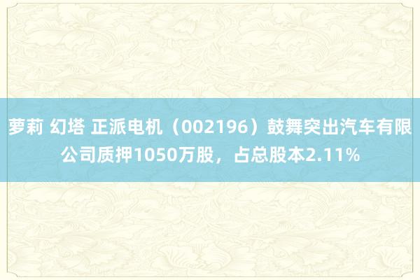 萝莉 幻塔 正派电机（002196）鼓舞突出汽车有限公司质押1050万股，占总股本2.11%