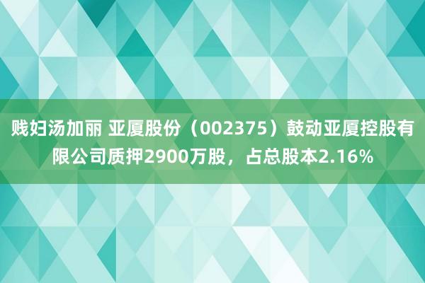 贱妇汤加丽 亚厦股份（002375）鼓动亚厦控股有限公司质押2900万股，占总股本2.16%