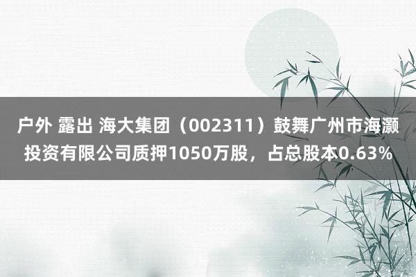 户外 露出 海大集团（002311）鼓舞广州市海灏投资有限公司质押1050万股，占总股本0.63%