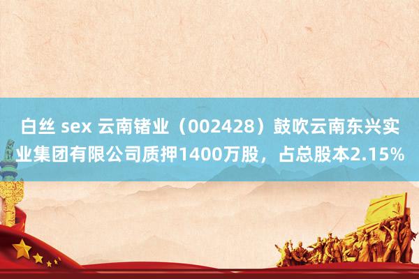 白丝 sex 云南锗业（002428）鼓吹云南东兴实业集团有限公司质押1400万股，占总股本2.15%