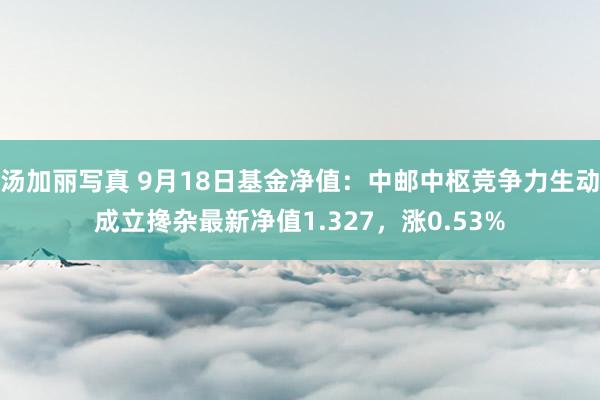 汤加丽写真 9月18日基金净值：中邮中枢竞争力生动成立搀杂最新净值1.327，涨0.53%