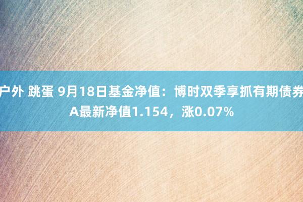 户外 跳蛋 9月18日基金净值：博时双季享抓有期债券A最新净值1.154，涨0.07%