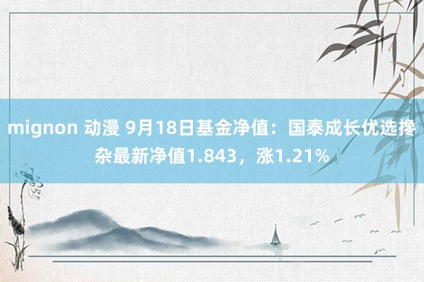 mignon 动漫 9月18日基金净值：国泰成长优选搀杂最新净值1.843，涨1.21%