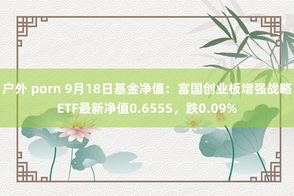 户外 porn 9月18日基金净值：富国创业板增强战略ETF最新净值0.6555，跌0.09%