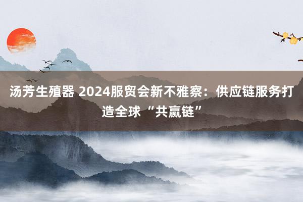 汤芳生殖器 2024服贸会新不雅察：供应链服务打造全球 “共赢链”