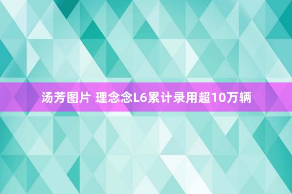 汤芳图片 理念念L6累计录用超10万辆