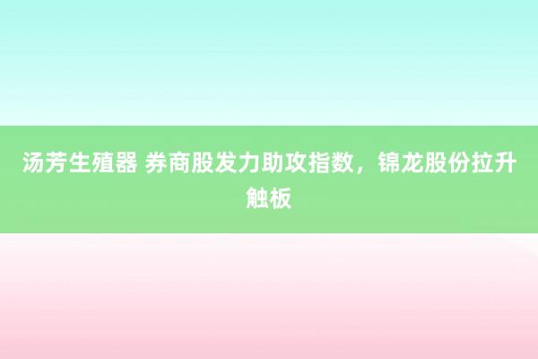 汤芳生殖器 券商股发力助攻指数，锦龙股份拉升触板