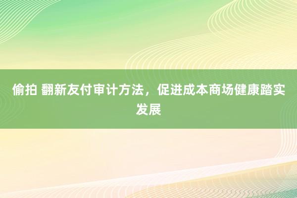 偷拍 翻新友付审计方法，促进成本商场健康踏实发展