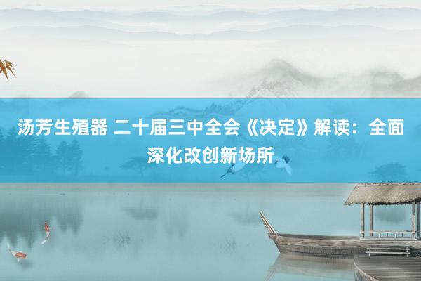 汤芳生殖器 二十届三中全会《决定》解读：全面深化改创新场所