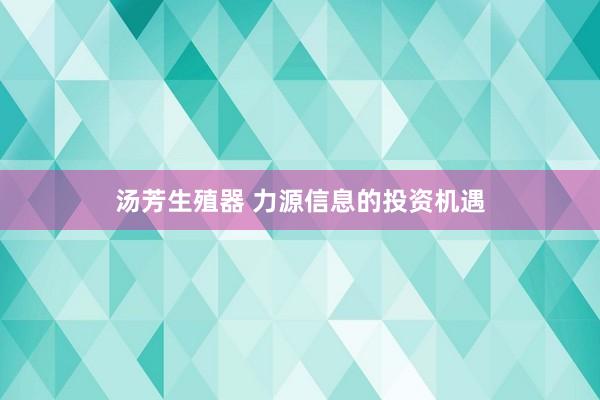 汤芳生殖器 力源信息的投资机遇