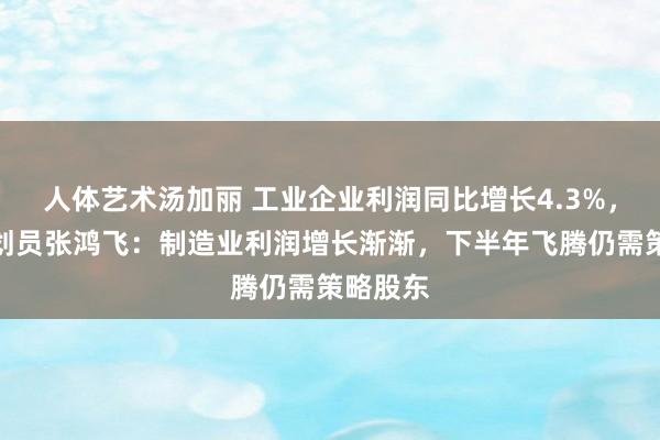 人体艺术汤加丽 工业企业利润同比增长4.3%，和讯谋划员张鸿飞：制造业利润增长渐渐，下半年飞腾仍需策