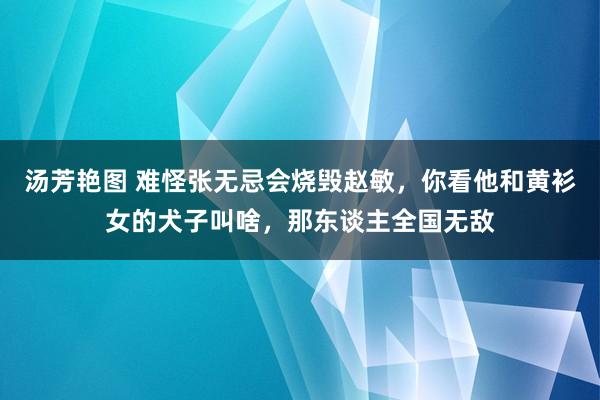 汤芳艳图 难怪张无忌会烧毁赵敏，你看他和黄衫女的犬子叫啥，那东谈主全国无敌