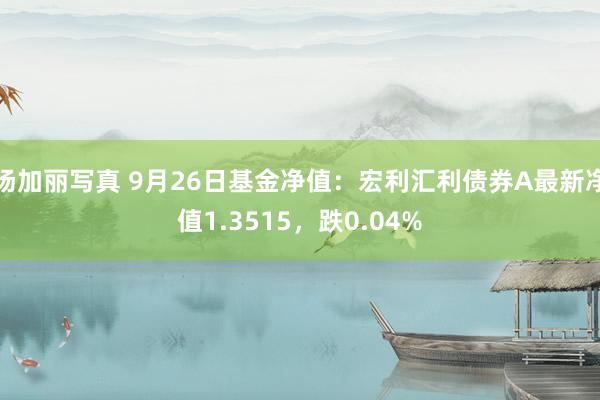 汤加丽写真 9月26日基金净值：宏利汇利债券A最新净值1.3515，跌0.04%