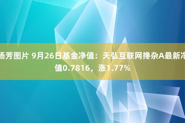 汤芳图片 9月26日基金净值：天弘互联网搀杂A最新净值0.7816，涨1.77%