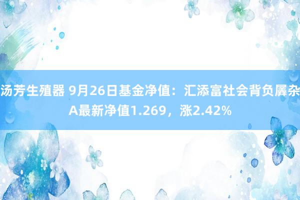 汤芳生殖器 9月26日基金净值：汇添富社会背负羼杂A最新净值1.269，涨2.42%