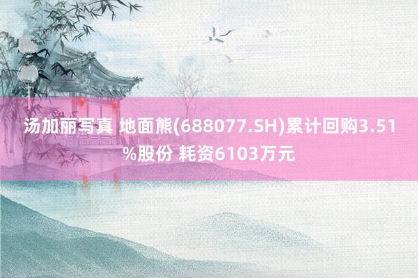 汤加丽写真 地面熊(688077.SH)累计回购3.51%股份 耗资6103万元