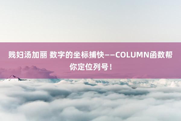 贱妇汤加丽 数字的坐标捕快——COLUMN函数帮你定位列号！