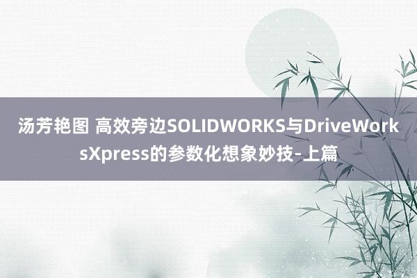 汤芳艳图 高效旁边SOLIDWORKS与DriveWorksXpress的参数化想象妙技-上篇