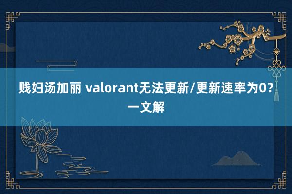 贱妇汤加丽 valorant无法更新/更新速率为0？一文解