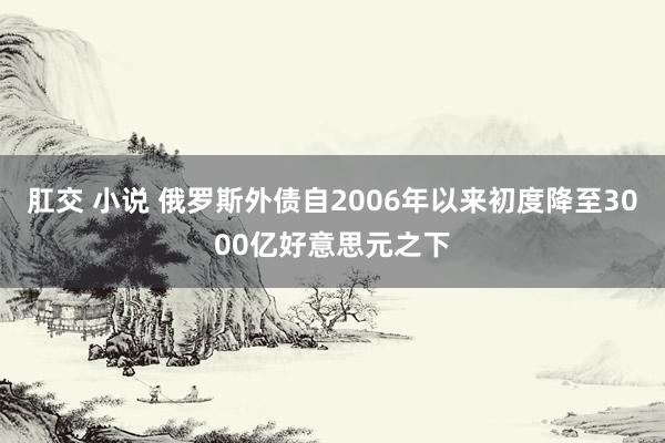 肛交 小说 俄罗斯外债自2006年以来初度降至3000亿好意思元之下