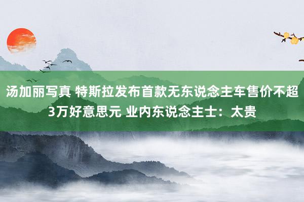 汤加丽写真 特斯拉发布首款无东说念主车售价不超3万好意思元 业内东说念主士：太贵