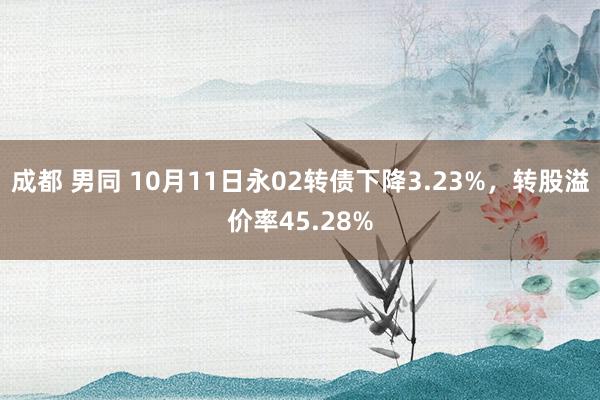 成都 男同 10月11日永02转债下降3.23%，转股溢价率45.28%