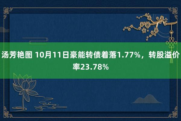 汤芳艳图 10月11日豪能转债着落1.77%，转股溢价率23.78%