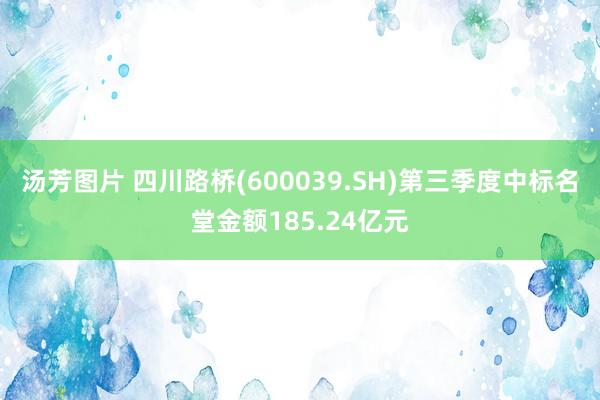 汤芳图片 四川路桥(600039.SH)第三季度中标名堂金额185.24亿元