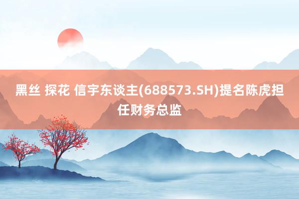 黑丝 探花 信宇东谈主(688573.SH)提名陈虎担任财务总监