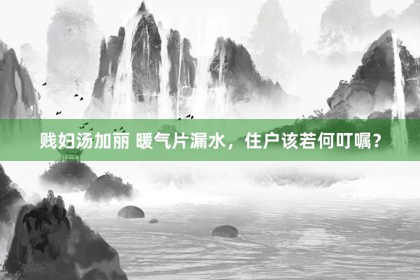 贱妇汤加丽 暖气片漏水，住户该若何叮嘱？