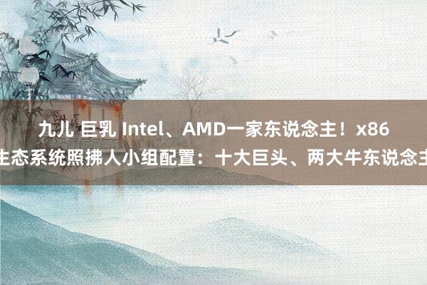 九儿 巨乳 Intel、AMD一家东说念主！x86生态系统照拂人小组配置：十大巨头、两大牛东说念主