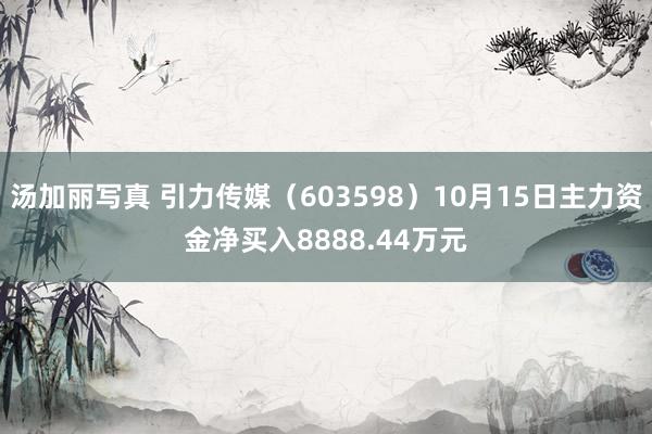 汤加丽写真 引力传媒（603598）10月15日主力资金净买入8888.44万元