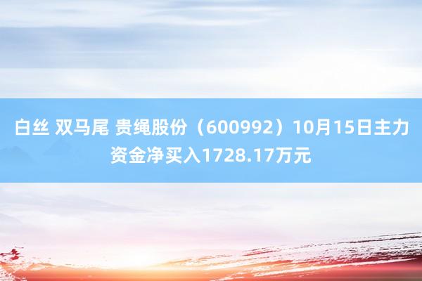 白丝 双马尾 贵绳股份（600992）10月15日主力资金净买入1728.17万元