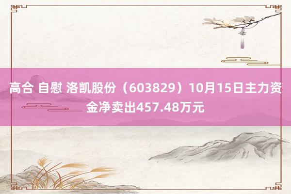 高合 自慰 洛凯股份（603829）10月15日主力资金净卖出457.48万元