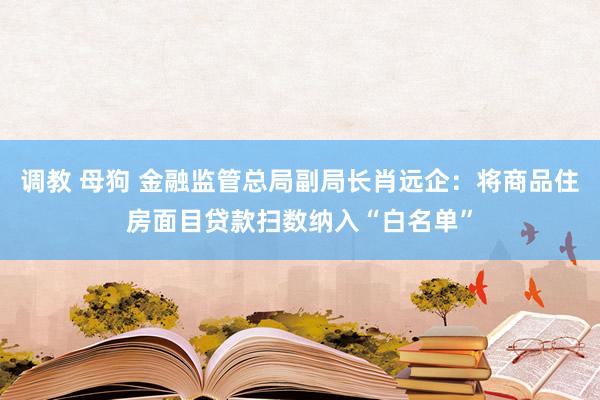 调教 母狗 金融监管总局副局长肖远企：将商品住房面目贷款扫数纳入“白名单”