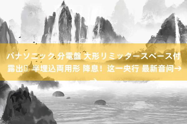 パナソニック 分電盤 大形リミッタースペース付 露出・半埋込両用形 降息！这一央行 最新音问→