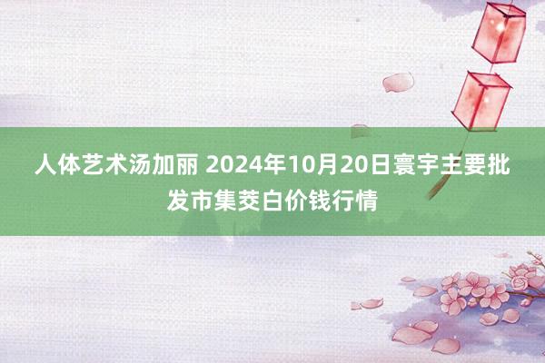 人体艺术汤加丽 2024年10月20日寰宇主要批发市集茭白价钱行情