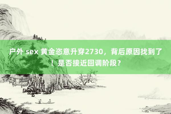 户外 sex 黄金恣意升穿2730，背后原因找到了！是否接近回调阶段？