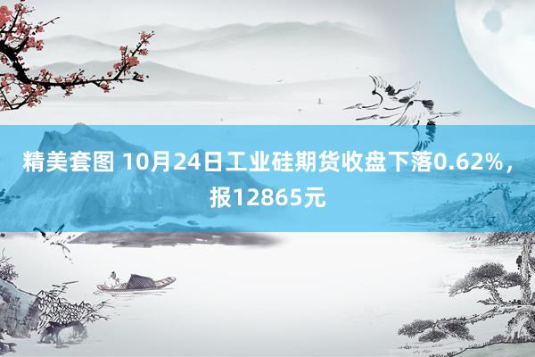 精美套图 10月24日工业硅期货收盘下落0.62%，报12865元