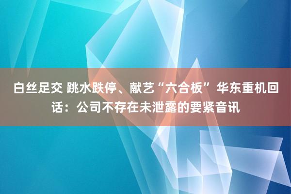 白丝足交 跳水跌停、献艺“六合板” 华东重机回话：公司不存在未泄露的要紧音讯