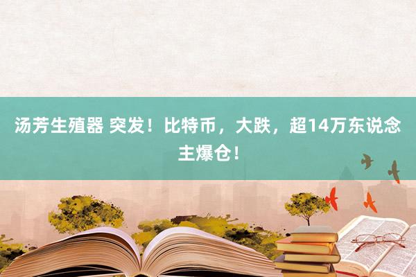 汤芳生殖器 突发！比特币，大跌，超14万东说念主爆仓！