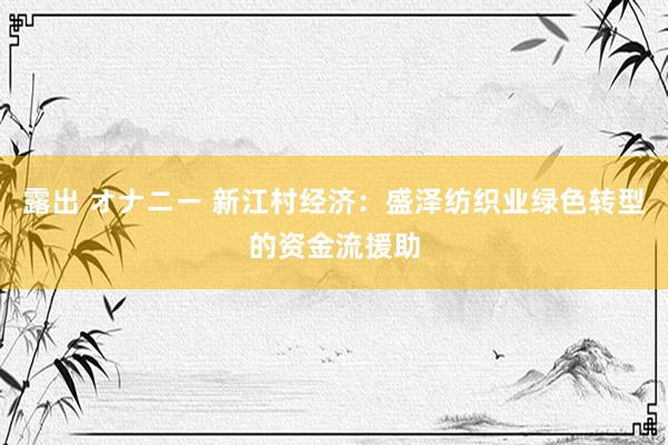 露出 オナニー 新江村经济：盛泽纺织业绿色转型的资金流援助