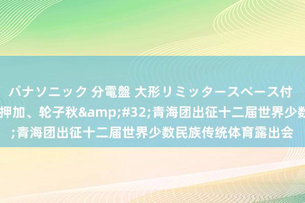 パナソニック 分電盤 大形リミッタースペース付 露出・半埋込両用形 押加、轮子秋&#32;青