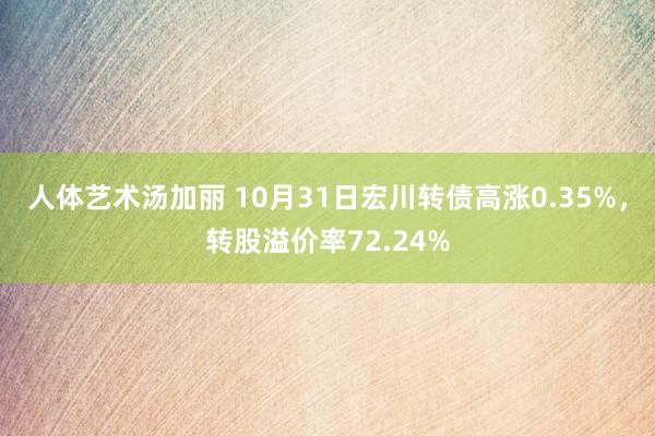 人体艺术汤加丽 10月31日宏川转债高涨0.35%，转股溢价率72.24%