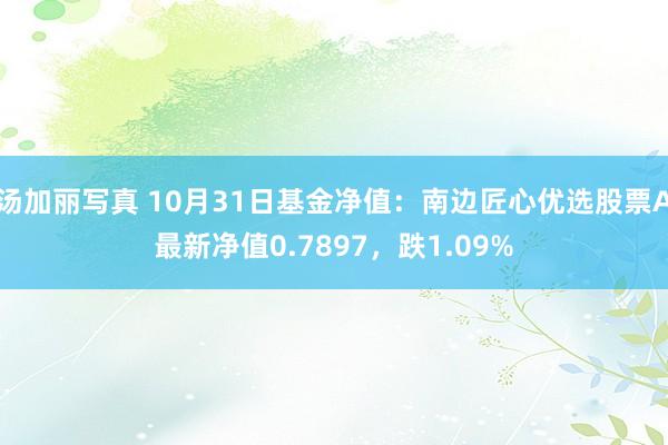 汤加丽写真 10月31日基金净值：南边匠心优选股票A最新净值0.7897，跌1.09%